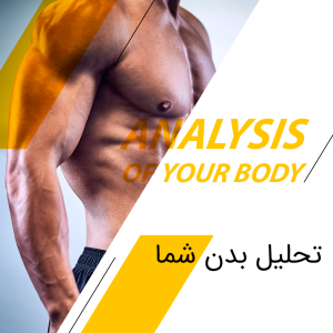 تحلیل بدن شما
